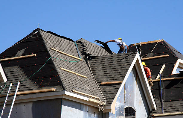 Best Roof Gutter Cleaning  in Watervliet, MI