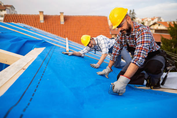 Best Roof Gutter Cleaning  in Watervliet, MI